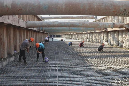 市政集團黨總支 黨建聯建聚合力，攜手共建精品民生工程