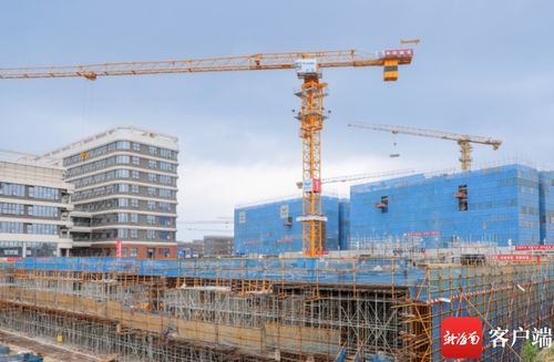 國(guó)家緊急醫(yī)學(xué)救援基地海南建設(shè)項(xiàng)目取得新進(jìn)展 全面啟動(dòng)建設(shè)工程施工階段